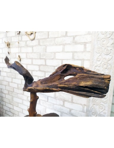 Дерев'яна скульптура "Дракон" для інтер'єру зоомагазину
