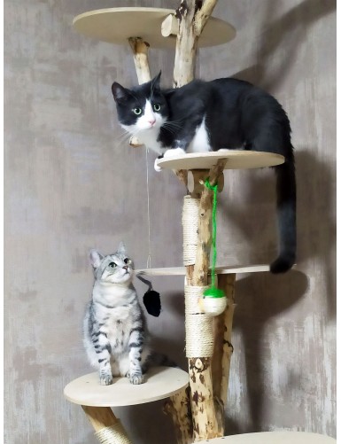 Підставка дерев'яна з поличками для домашніх кішок або для кімнатних рослин
