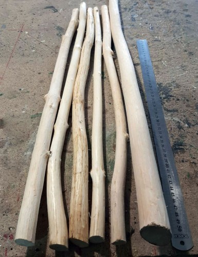 Гілки дерев'яні очищені від кори