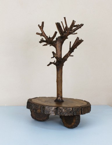 Бонсай підставка на зрізі дерева для подачі суші