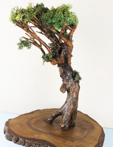 Дошка з натурального дерева для подачі суші, ролів, кексів