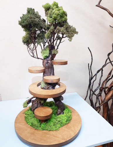 Підставка для подачі ролів, суші та кондитерських виробів. Купити в Україні