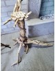 Торшер із натурального дерева з абажуром для ресторану